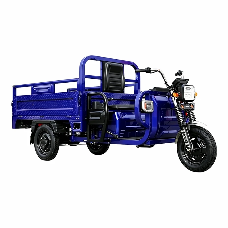 Heavy Duty Electric Cargo Tricycle2 Heavy Duty Electric Cargo Tricycle2